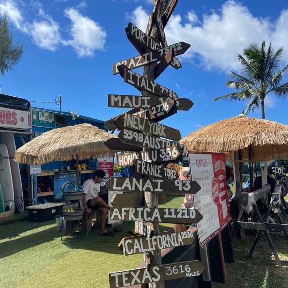 Meet your Posher, CeCe - Picture 1 of 4